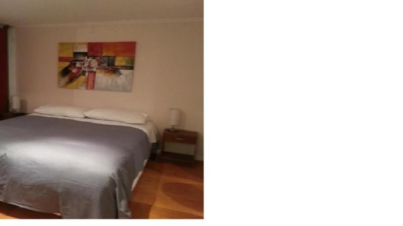 Apartament Departamentos Pontoni Santiago de Chile Zewnętrze zdjęcie